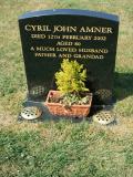 image number Amner Cyril John  118